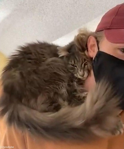 ����ǭ��Τ�Ƥˤʤä���ͳ03