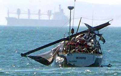 40トンの鯨がヨットに攻撃02