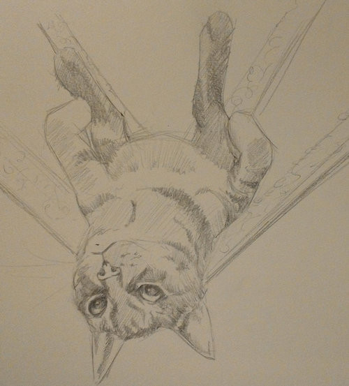 リラックス猫02