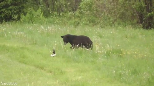 ������̿�Υ����󥯤����ޤ���ह��ִ�03