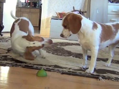 ��vs�饤��01