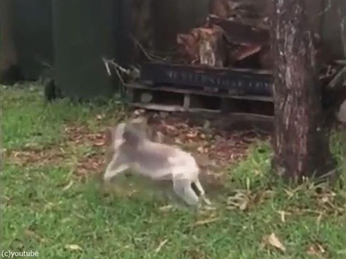 ��ʳ�����֤���󥳥���06