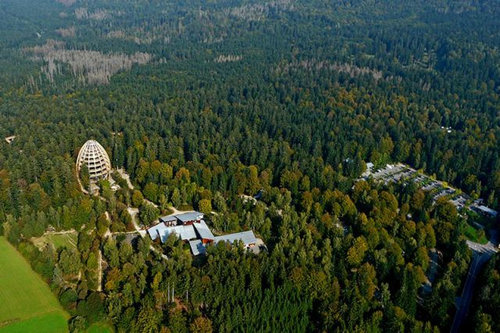 Tree Top Walk13