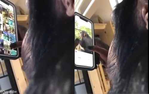 ���ޥۤ�Ȥ����ʤ�����ѥ󥸡�03