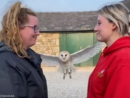 2人の女性のすき間を飛ぶフクロウ