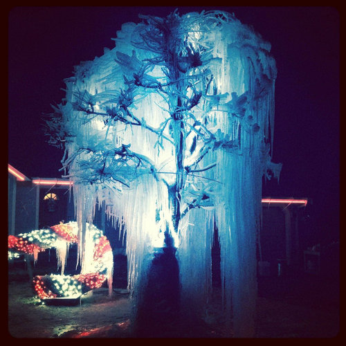 �����ϻ��ͤΥ��ꥹ�ޥ��ĥ꡼06