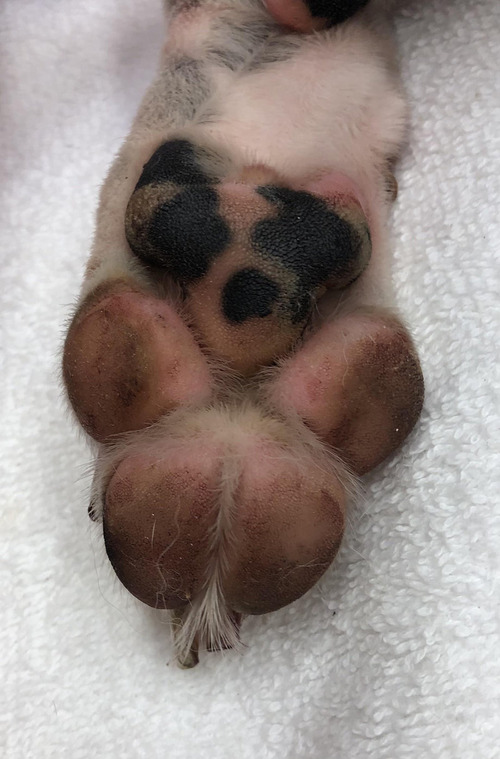 ���夬���δ�01