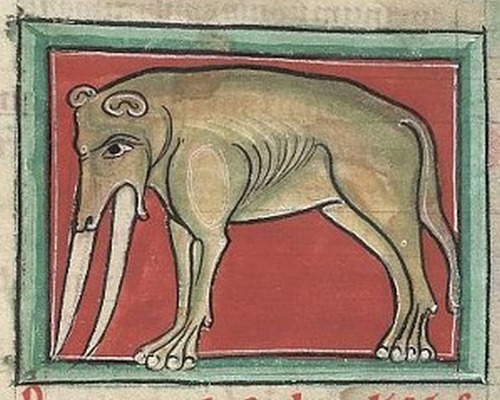 中世の想像で描かれたゾウ14