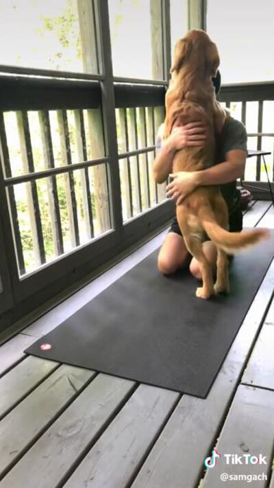 飼い主さんのことが大好きすぎて…ヨガを邪魔してしまうワンちゃん03