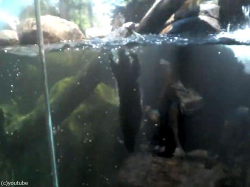 ���復�������ž02