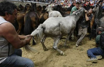 スペインの馬祭り07