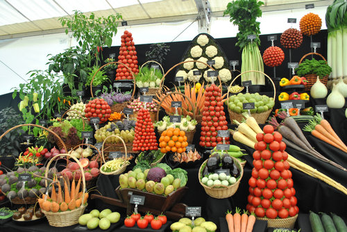 野菜の陳列アート03