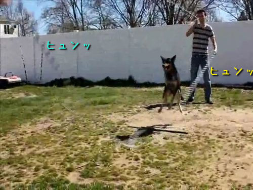 2�ܤ���ķ�Ӥ�ķ�ָ�