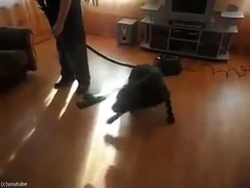 �ݽ�����֤ʸ�04