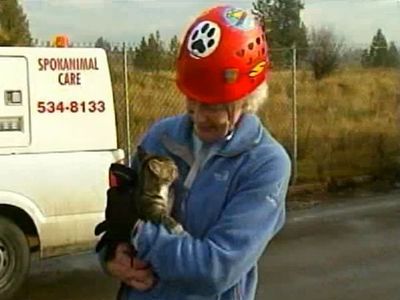 子猫を60歳のおばあちゃんが救出04