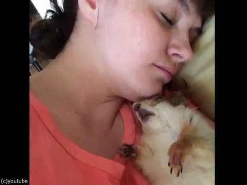 ドラマチックなリスの目覚め00