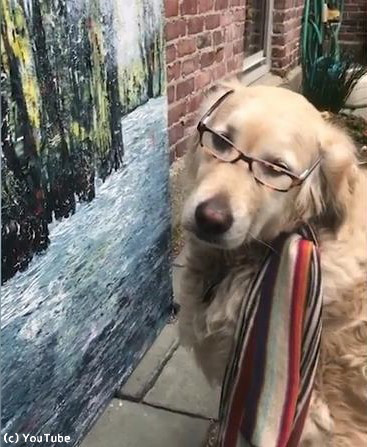 うちの犬は美術評論家04