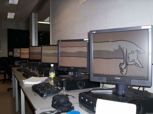 白くて長い猫01