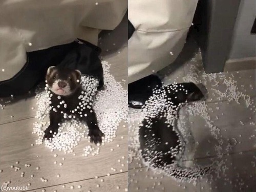 �������餷���ե���å�02