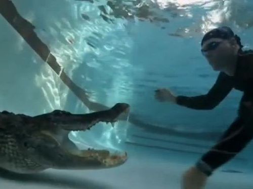 素手でワニと格闘01