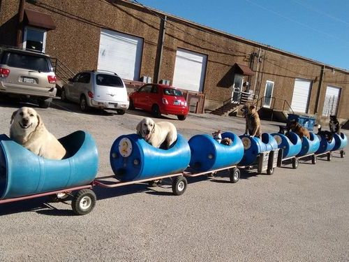 ǯϷ��������겡���֤˾褻��04