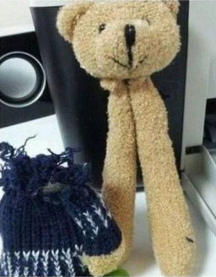 中国産のクマは脱がさないほうがいい01