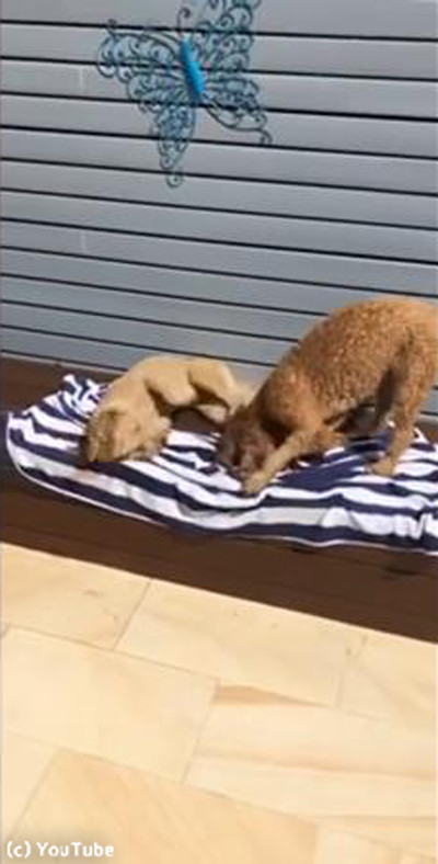 �ס���夬��θ����ʤ�Ƥ���������ġ�03