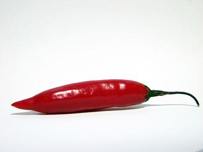 ����ڥåѡ�