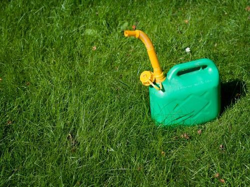 学校の花壇でやってみた00