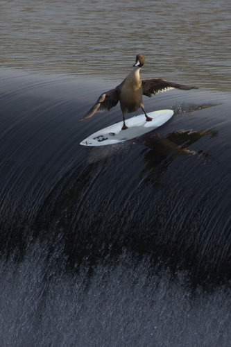 �ʹ������ޥ���12