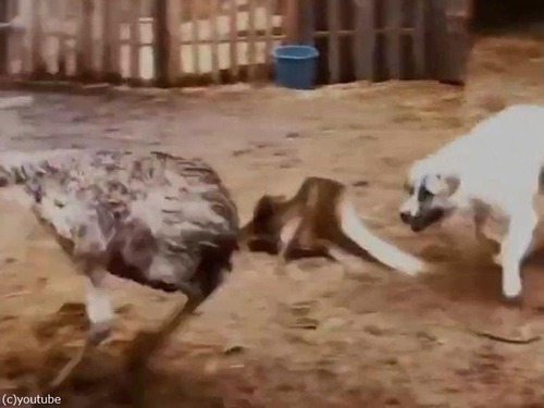 ���ߥ塼�ȸ�04