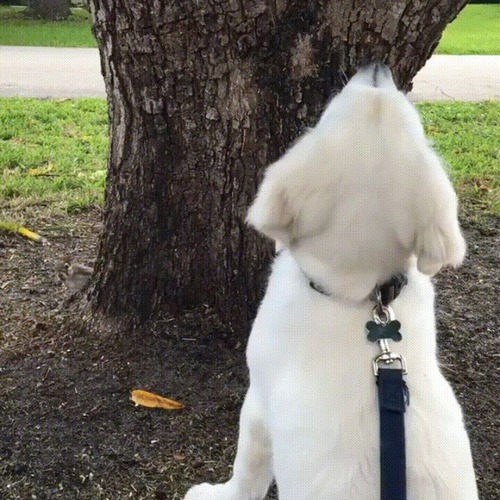 �ڤ򸫾夲�븤�֥ꥹ���ɤ��Ԥä��Τ��ʤ���01