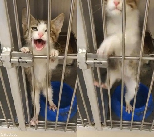 ��������ݸ���ߤˤ�����Ĥ���ǭ��Ϣ��Ƶ��ä�01