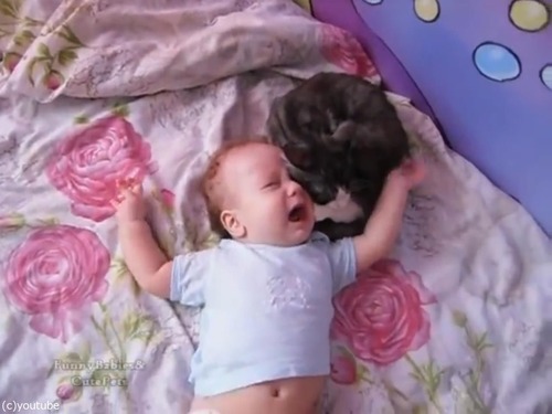 赤ちゃんをあやす猫04