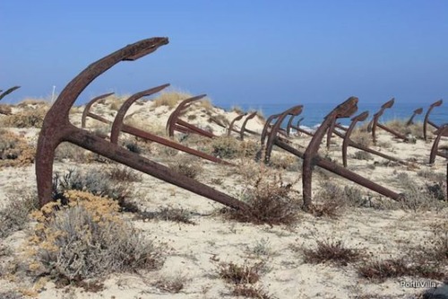 いろんな物の墓場03