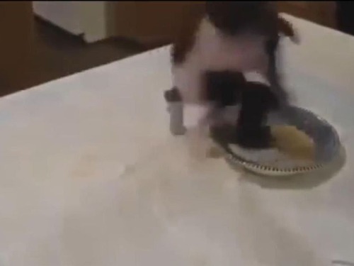 �����򤹤���Τ����Ӥ�Ҹ�05