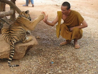 ハイタッチ動物14