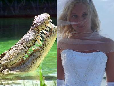 娘がいいかお金がいいか?