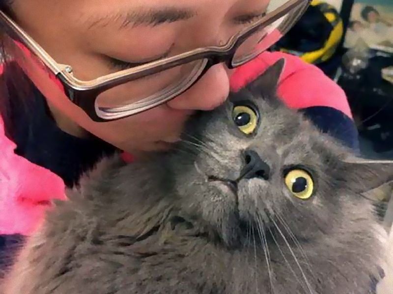 猫 正直つらい 飼い主の自撮りにしぶしぶ付き合わされた写真いろいろ らばq 猫 正直つらい 飼い主の自撮りにしぶしぶ付き合わされた写真いろいろ らばq