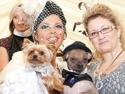 �����ʸ��η뺧��01