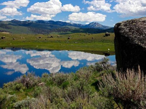 イエローストーン国立公園00