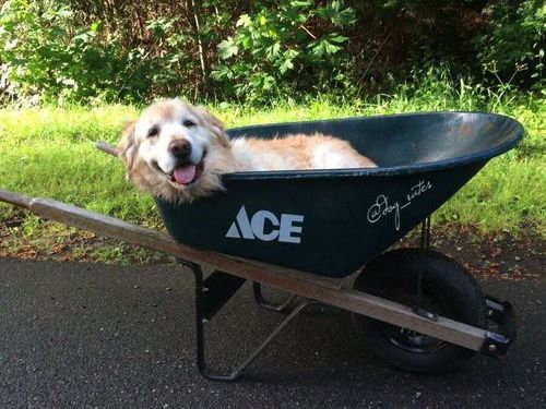 ǯϷ��������겡���֤˾褻��01