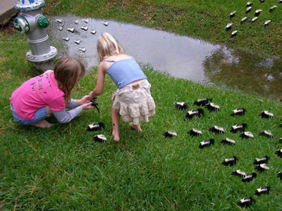 スカンクの赤ちゃん03