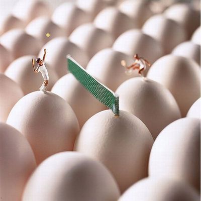 ����ʪ������¤�������ߥ˥��奢������03