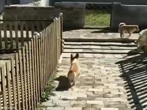 ���ΰ�̣���ʤ���06