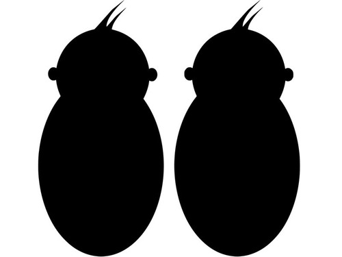 双子のナースが双子の赤ちゃんを取り上げる