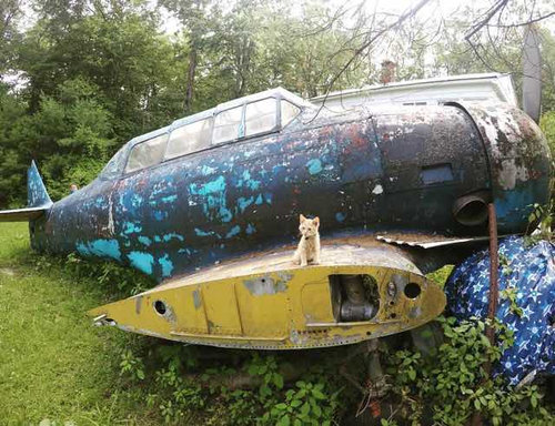 バイク乗りと子猫04