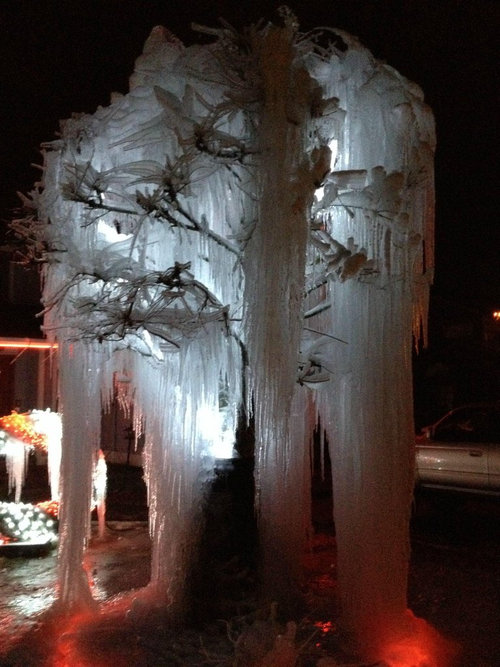 �����ϻ��ͤΥ��ꥹ�ޥ��ĥ꡼08