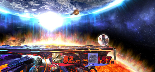 猫のフォトショップバトル07