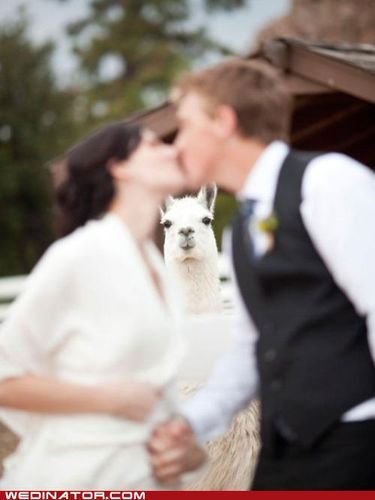 オートフォーカス02